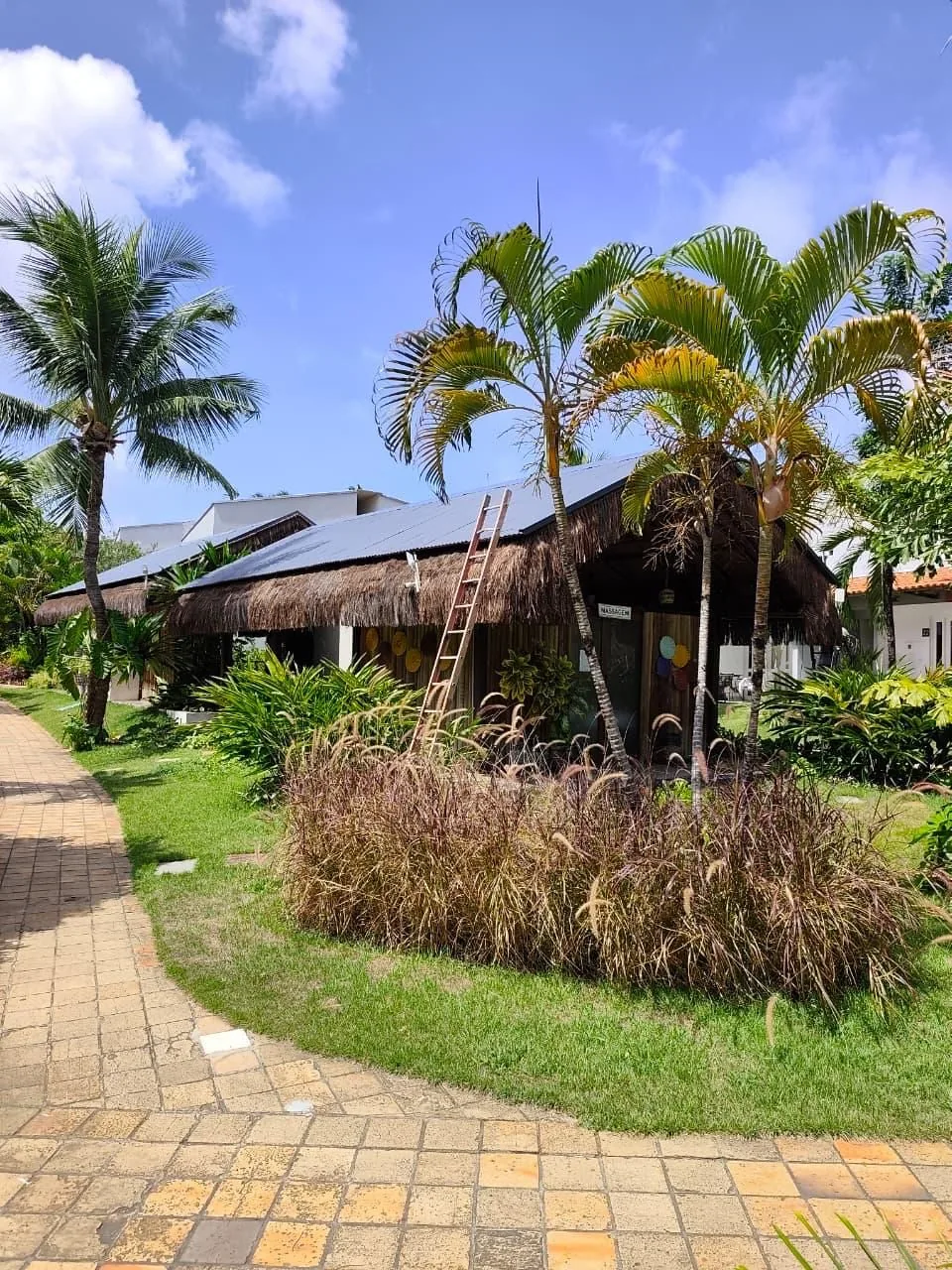 Hotel Pipa Atlântico na Praia de Pipa, com cobertura termoacústica integrada ao paisagismo tropical